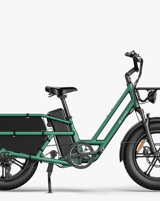 Cargo Bike Elettrica Fiido T2 - Nuova, mai montata