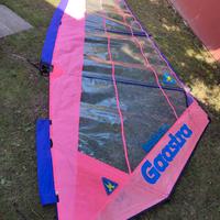 Vela Gaastra 6.4 Slalom CS 1