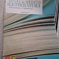 testi e storia della letteratura 