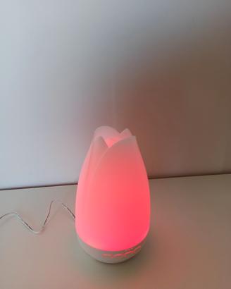 Umidificatore 
