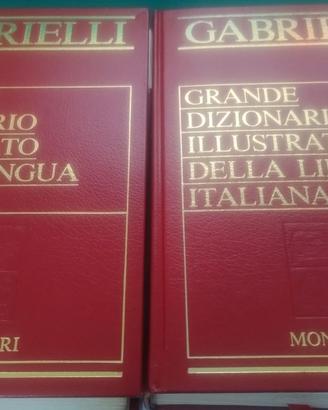 Dizionario illustrato "GABRIELLI"
