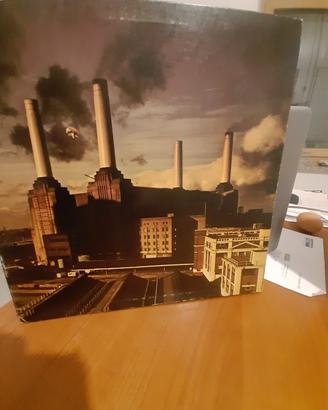 lp in vinile 