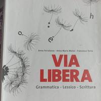 libro: via libera 