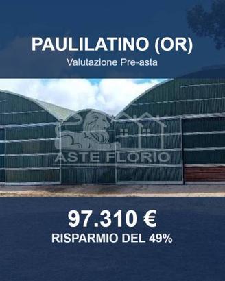 Immobile in asta di 222231 m² a Paulilatino