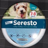 Collare per cani taglia piccola