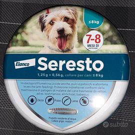 Collare per cani taglia piccola