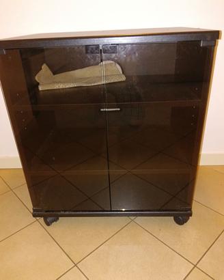 mobile porta tv