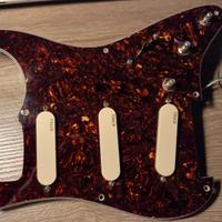 EMG DG20
