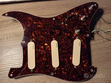 EMG DG20