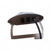 Plafoniera acquario neon