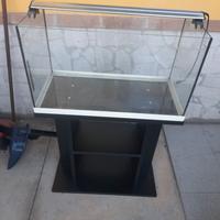 Acquario 60 litri