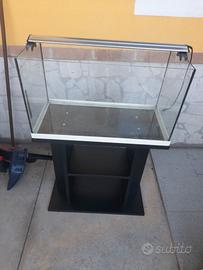 Acquario 60 litri