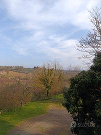 Camera singola Siena
