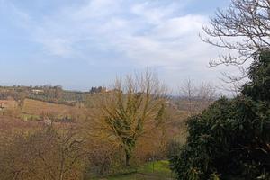 Camera singola Siena