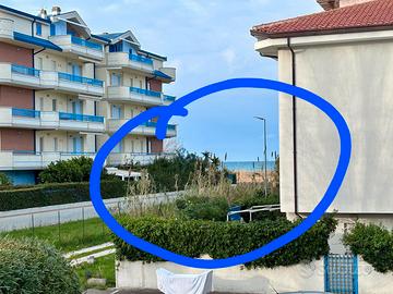 Estate 2026 gabbiano bianco