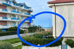 Estate 2026 gabbiano bianco