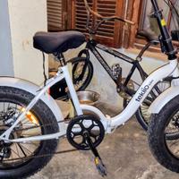 bicicletta teklio 