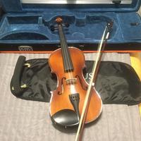 Violino