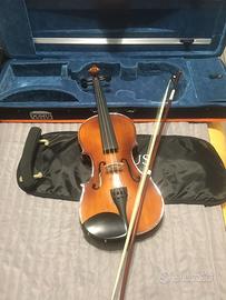 Violino