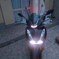 Honda SH 350 - 2023