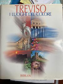 Libro treviso i luoghi del colore