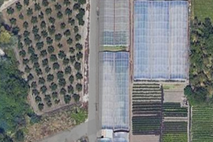 Terreno zona industriale Sarno