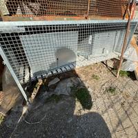 Gabbia per conigli