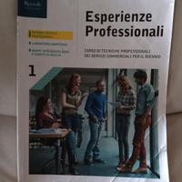 esperienze professionali 