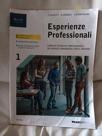 esperienze professionali 