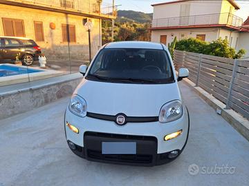 panda 1.0 hybrid city life