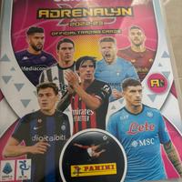 Carte panini claciatori adrenalyn
