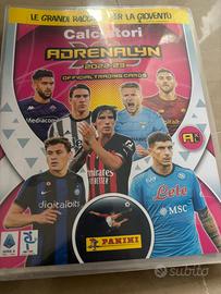 Carte panini claciatori adrenalyn