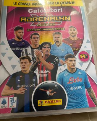 Carte panini claciatori adrenalyn