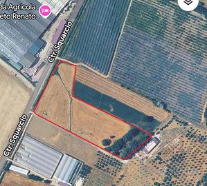 Terreno agricolo c.da Soverano/Squarcio Bisignano