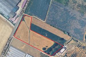 Terreno agricolo c.da Soverano/Squarcio Bisignano