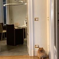 Elisse Pendant Double Nemo Cassina Lighting