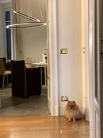 Elisse Pendant Double Nemo Cassina Lighting