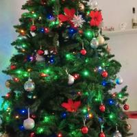 albero di natale 