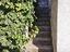 Immagine 23