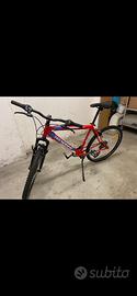 Bici tecnobike