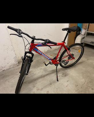 Bici tecnobike