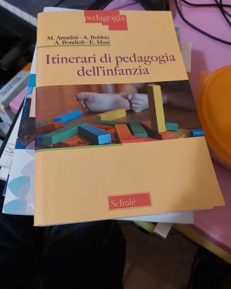 itinerari di pedagogia dell'infanzia 