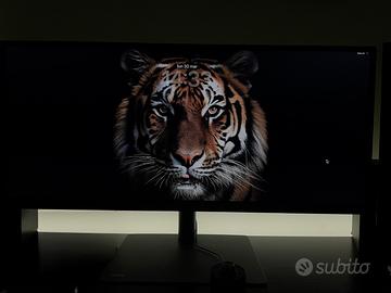BenQ PD3420Q UltraWide Monitor Pc