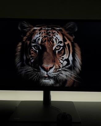 BenQ PD3420Q UltraWide Monitor Pc