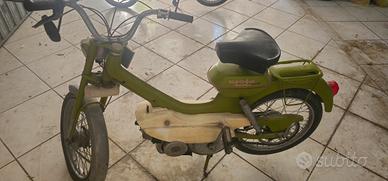 motom daina
