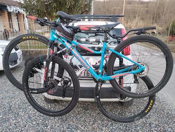 Thule clipon portabici portellone  Panda III serie