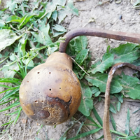 Antico attrezzo per curare gli alberi