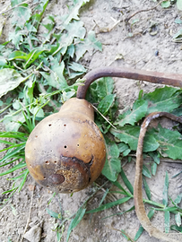Antico attrezzo per curare gli alberi