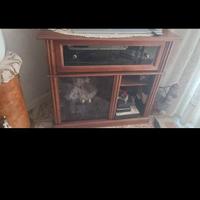 Mobile porta tv