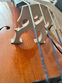 Violoncello 3/4